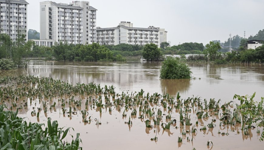 重庆特大暴雨已致9人死亡！紧急避险转移工作正在推进