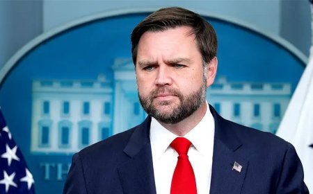 Vance admits infamous 'childless cat ladies' comment distracted from his message to Americans