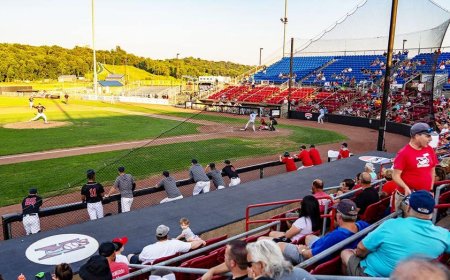 Minor league baseball manager launches first base into orbit during epic meltdown after getting tossed