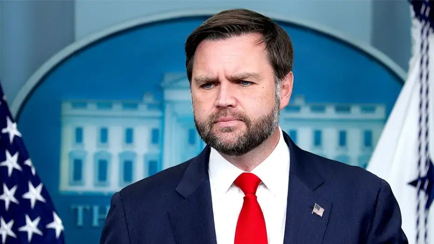 Vance admits infamous 'childless cat ladies' comment distracted from his message to Americans