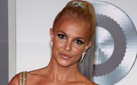 Britney Spears Sparks Fresh Fears With Shocking Freeway Stunt