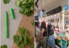 雄獅「香菜、九層塔奇異筆」文博會被掃光　開蓋就餓9月再開賣