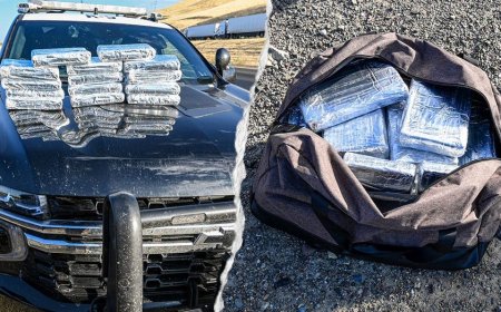 Routine California traffic stop leads to seizure of 30 pounds of cocaine worth more than $800K