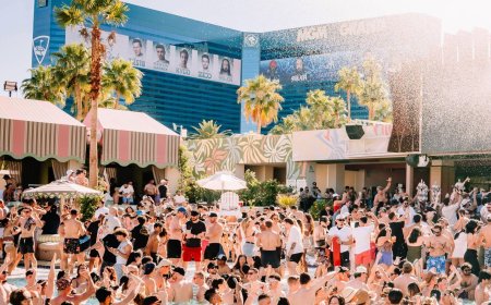How Palm Tree Beach Club Became the Hottest Ticket on the Las Vegas Strip This August
