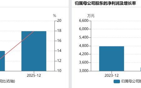 IPO雷达| 业绩“过山车”，森泰英格的高增长能否持续？